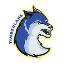 Pegatinas TC sin burbujas