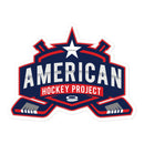 American Hockey Project Bubble-free stickers