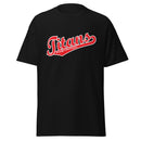 Titans Fastpitch Men's classic tee