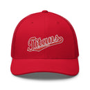Gorra de camionero Titans Fastpitch
