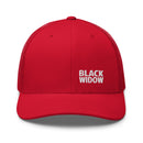 BW Trucker Cap