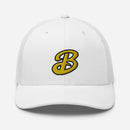 Gorra de camionero BCBS