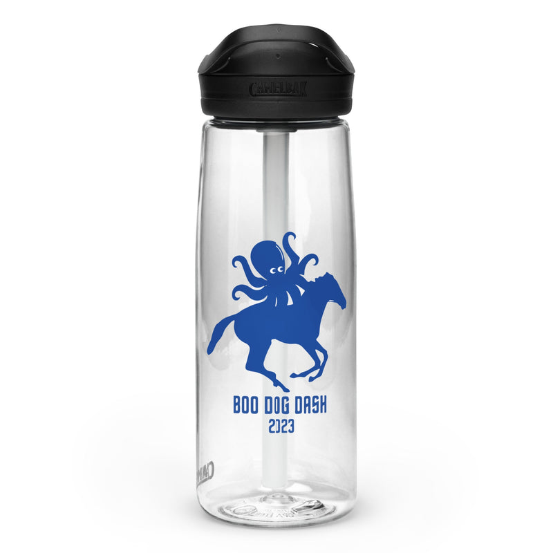 BDD Sports water bottle