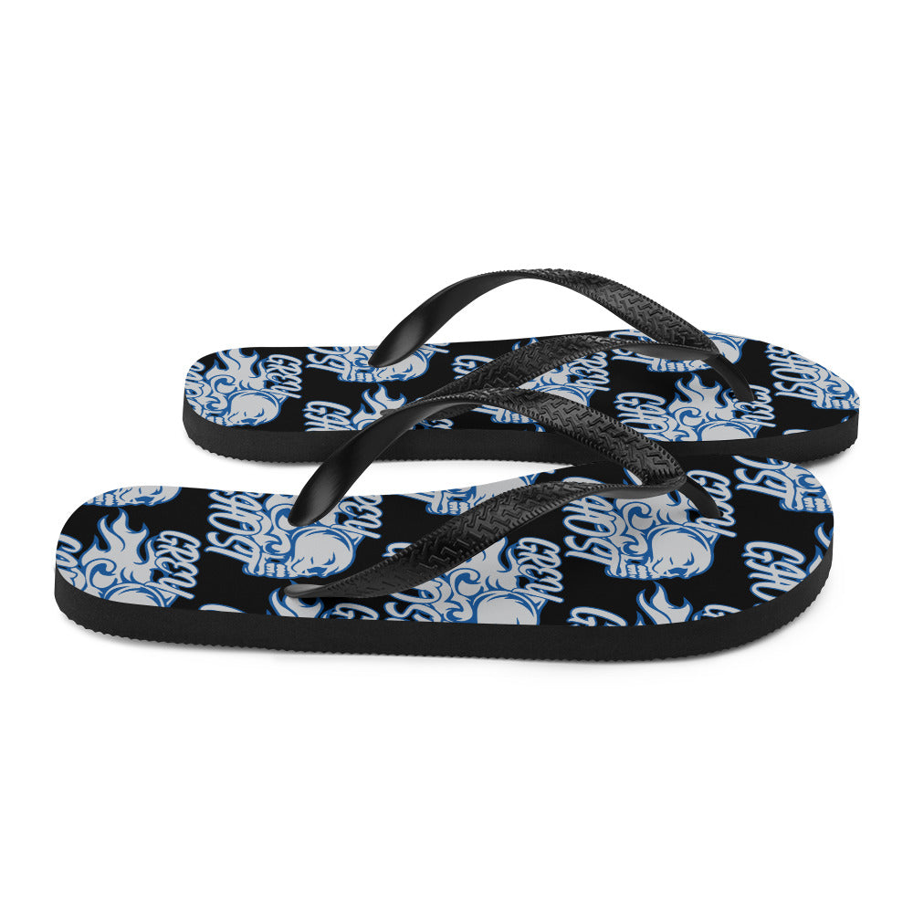 SM FB Flip-Flops v1