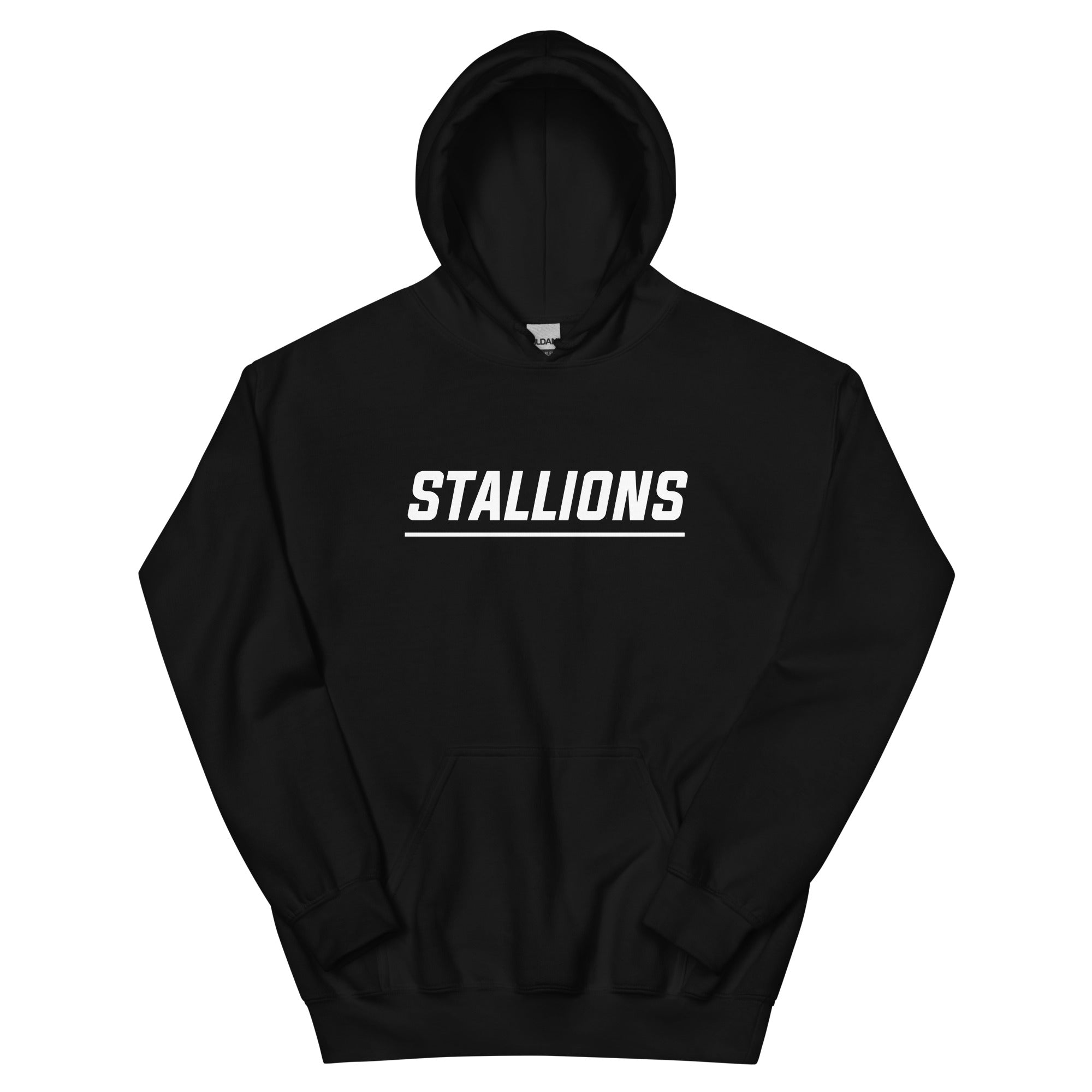 CS Unisex Hoodie v2